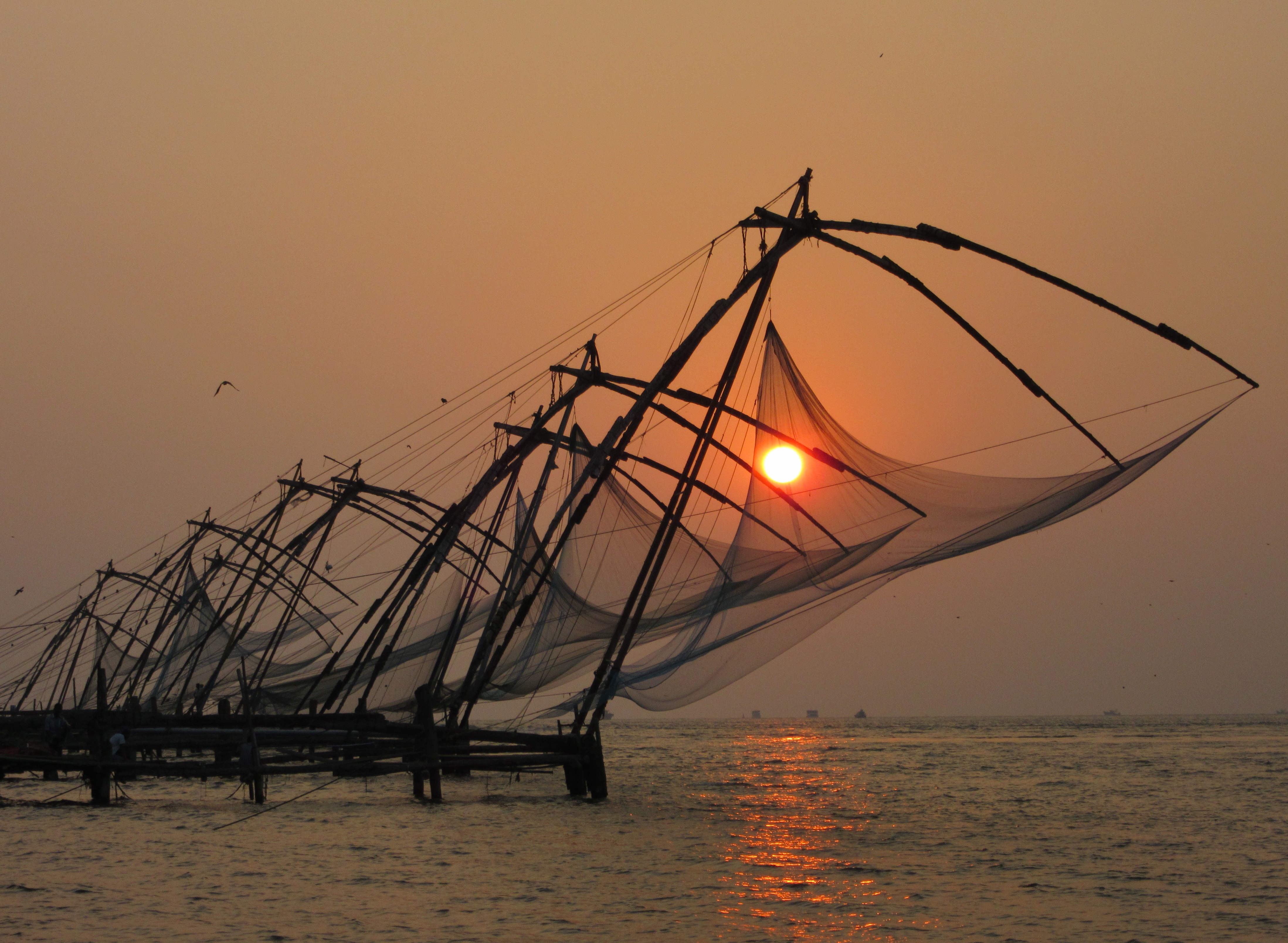 india